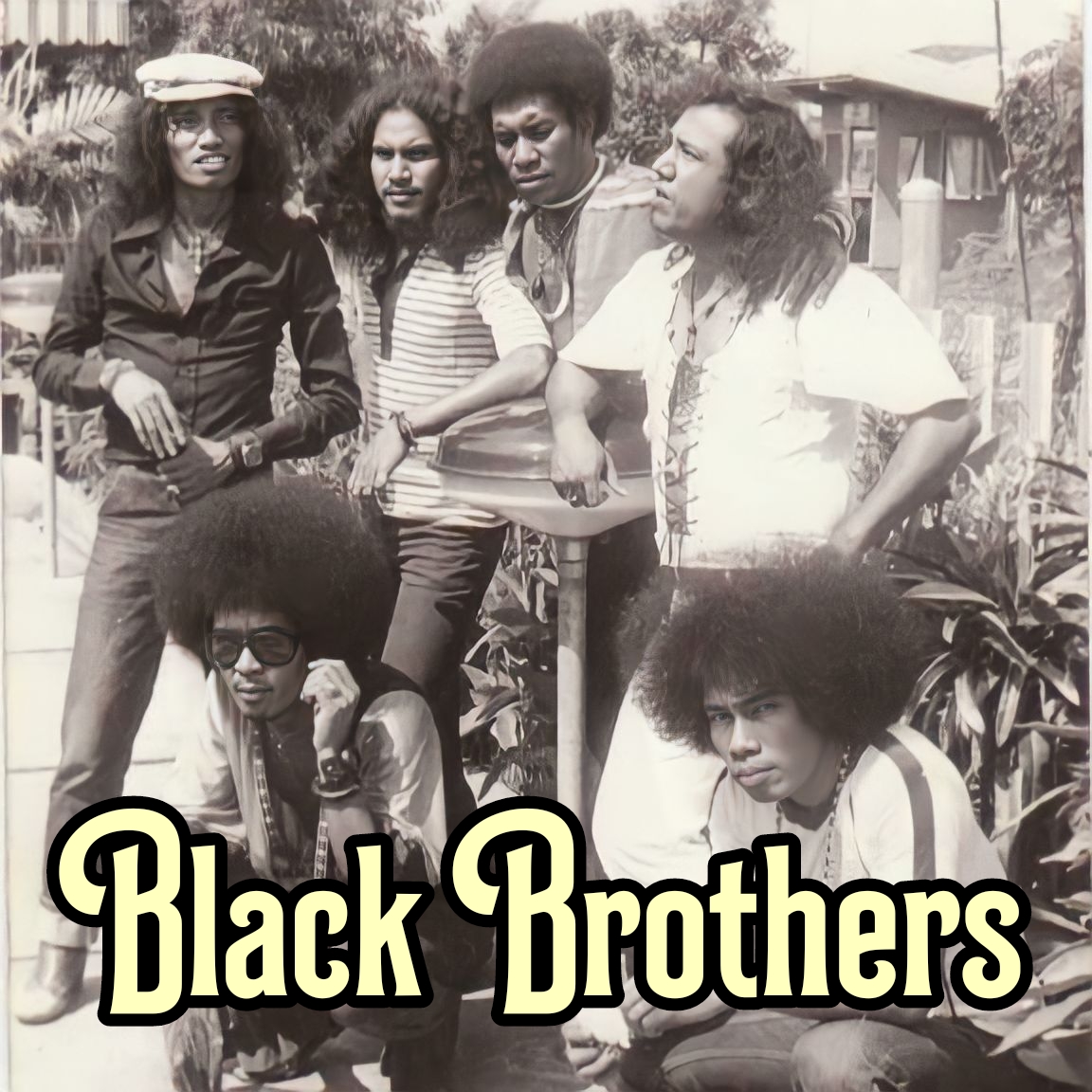 blackbrothers